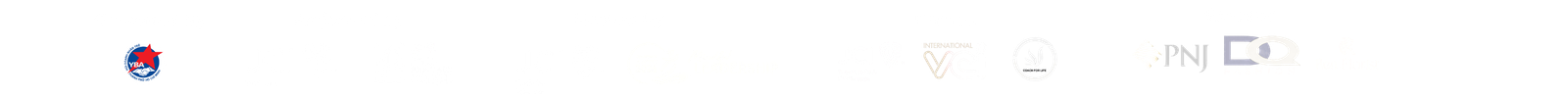 Official partners